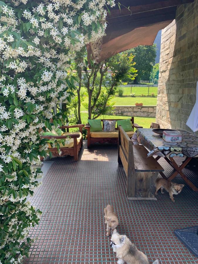 B&B Il Tempo Del Sogno Con Cani E Gatti Pet&Breakfast Baveno Luaran gambar