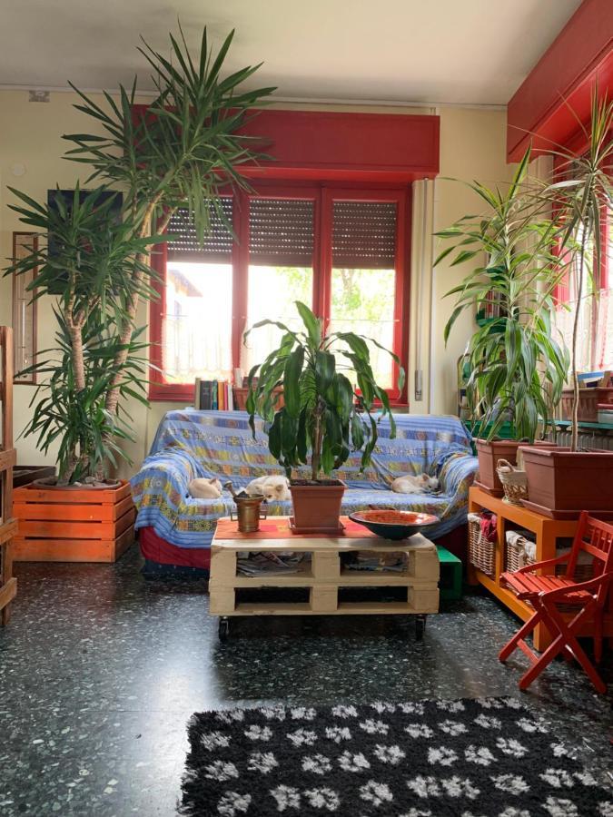 B&B Il Tempo Del Sogno Con Cani E Gatti Pet&Breakfast Baveno Luaran gambar