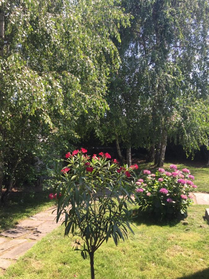 B&B Il Tempo Del Sogno Con Cani E Gatti Pet&Breakfast Baveno Luaran gambar